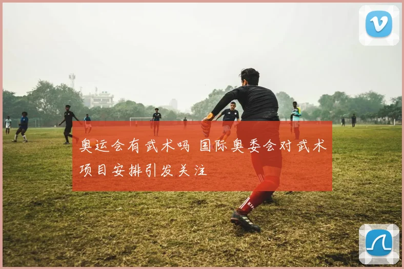 奥运会有武术吗 国际奥委会对武术项目安排引发关注