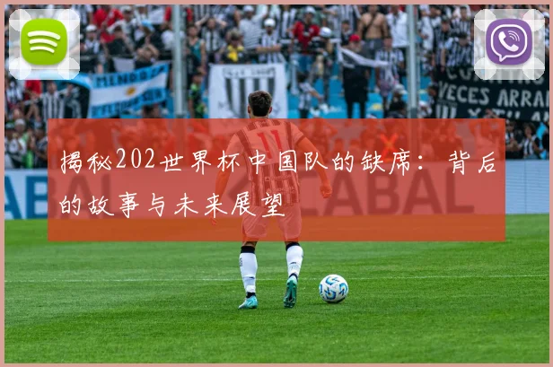 揭秘202世界杯中国队的缺席：背后的故事与未来展望
