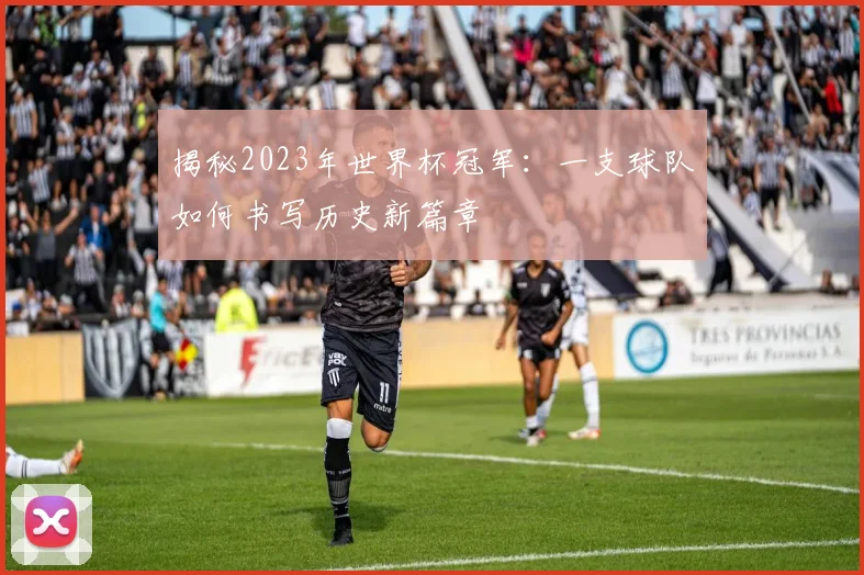揭秘2023年世界杯冠军：一支球队如何书写历史新篇章