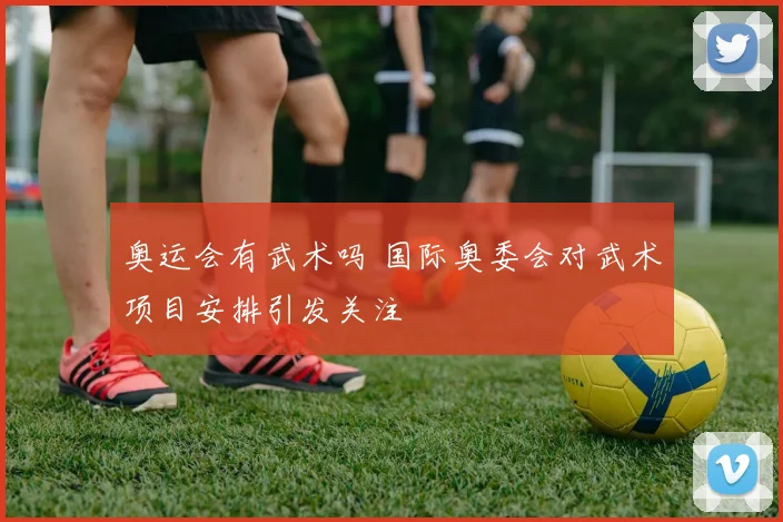 奥运会有武术吗 国际奥委会对武术项目安排引发关注